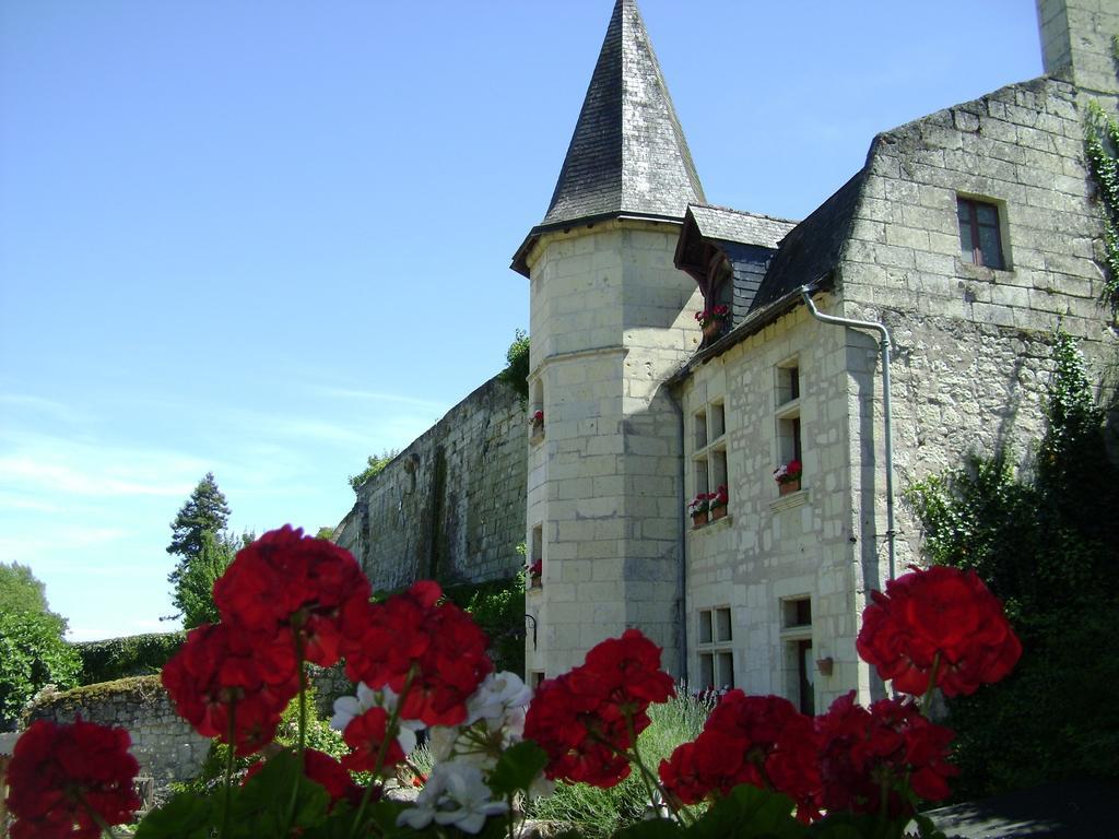 Le Petit Hureau Saumur Eksteriør billede